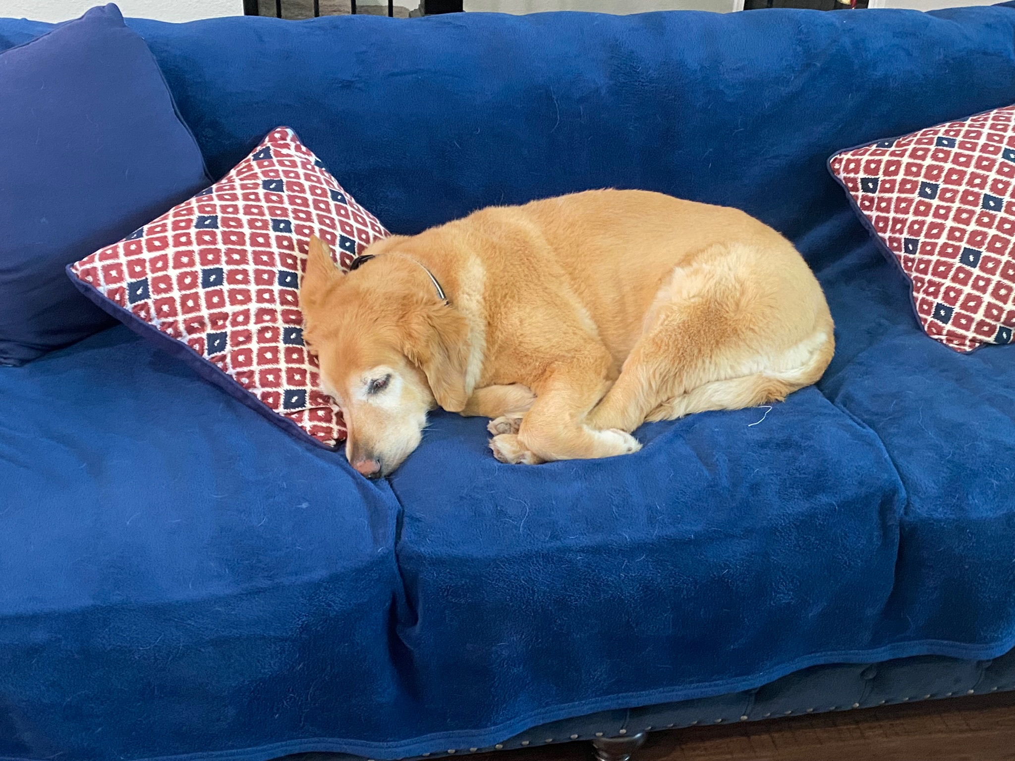Louie memory